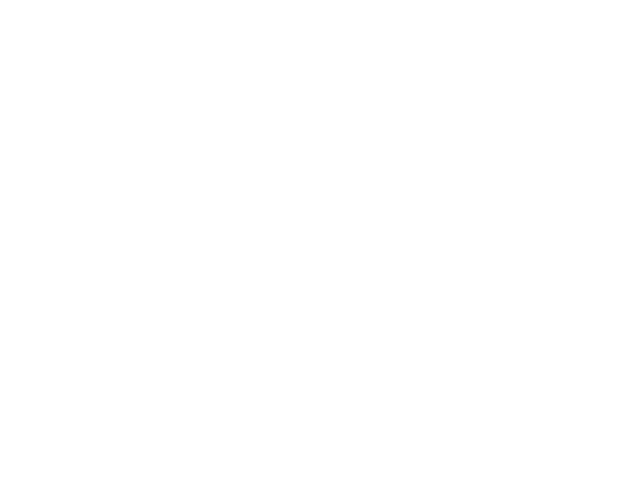 Logo_BBBoudewijn_dia.png