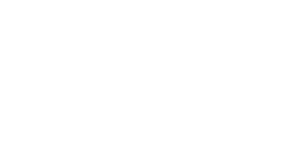L_Moeke_Delft_DIAP.png
